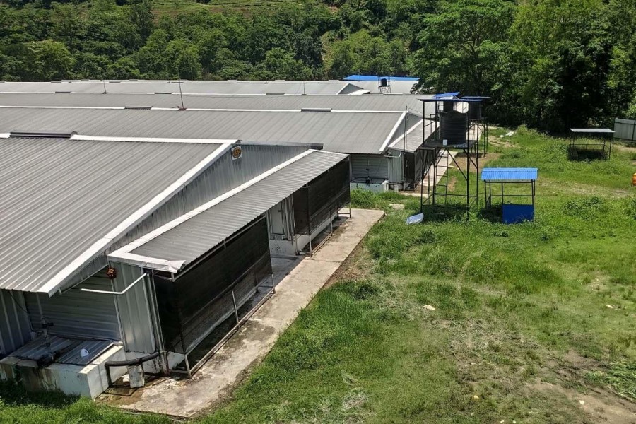 Marshyangdi Poultry